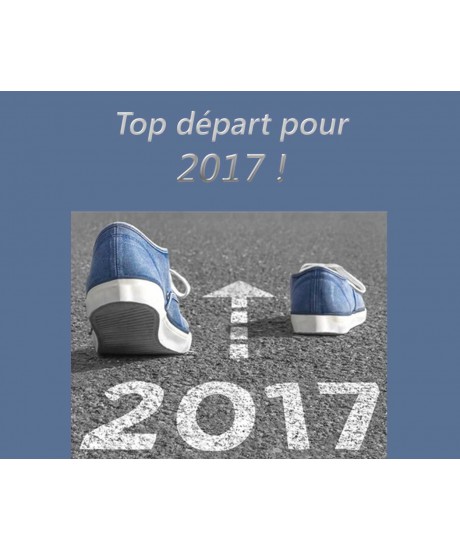 Bonne année 2017