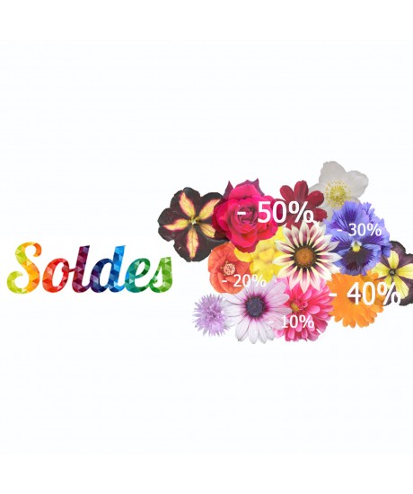 Soldes d’été 2016 en quelques clics !