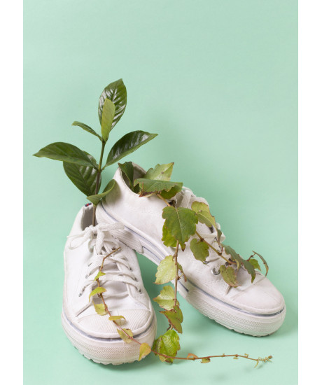 Chaussures vegan : le guide complet